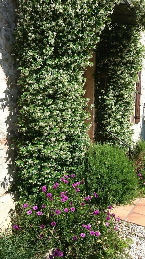 A La Dans Un Mas Provencal