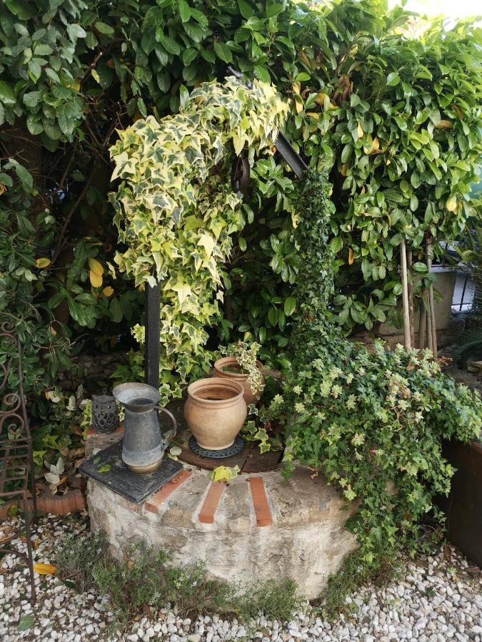 A La Dans Un Mas Provencal Appartamento Cannes